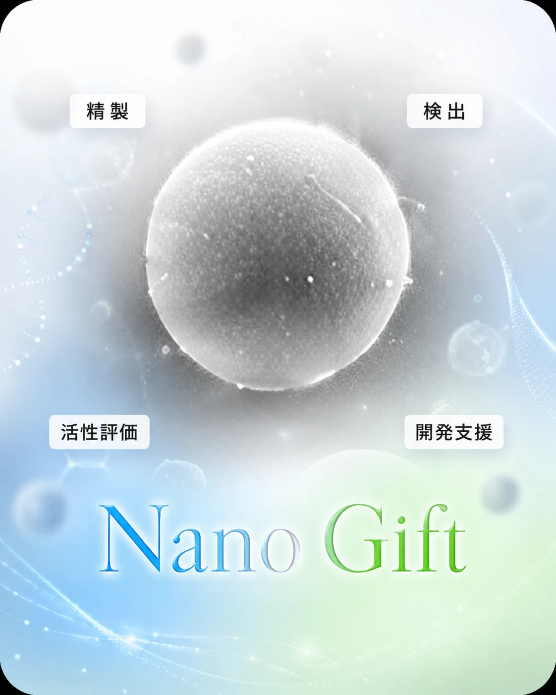 Nano Gift visual